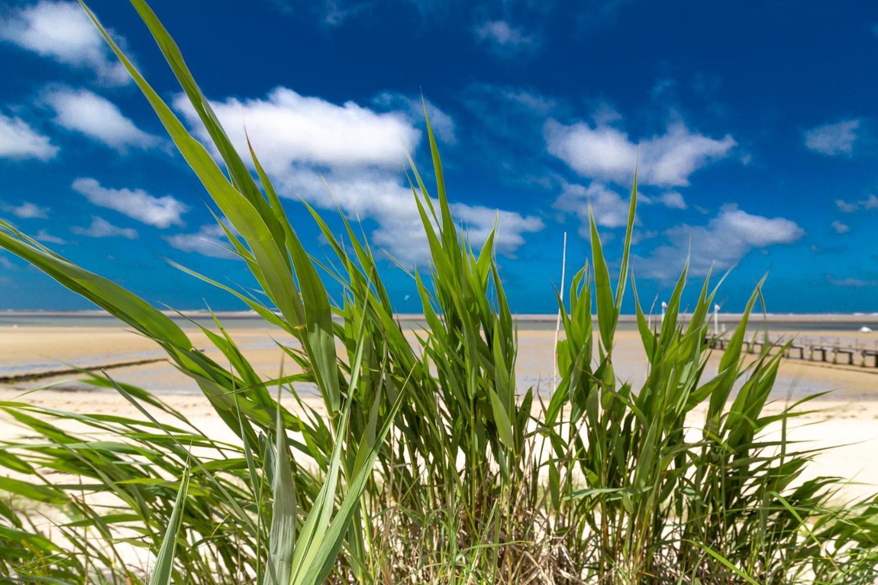 Wohnen Am Suedstrand - Ferienwohnung 0 3 Wyk auf Föhr Esterno foto