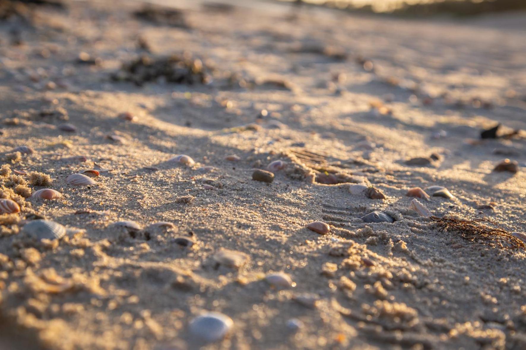 Wohnen Am Suedstrand - Ferienwohnung 0 3 Wyk auf Föhr Esterno foto